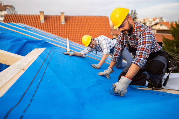 Best Commercial Roofing Services  in Shenandoah Heights, PA