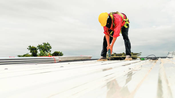 Best Chimney Flashing Repair  in Shenandoah Heights, PA