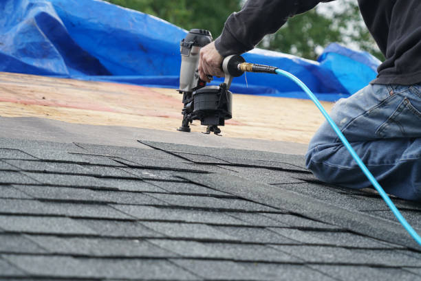 Asphalt Shingles Roofing in Shenandoah Heights, PA