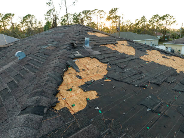 Best Roof Moss and Algae Removal  in Shenandoah Heights, PA